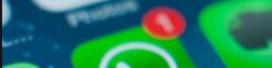WhatsApp gruplarında bildirimler nasıl kapatılır.