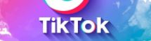 TikTok Profilime Bakanlar