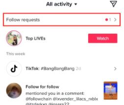 Tiktok Takip İstekleri görme